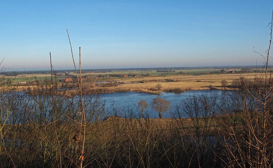 Ferienwohnung Am Waldrand, Hitzacker Zewnętrze zdjęcie
